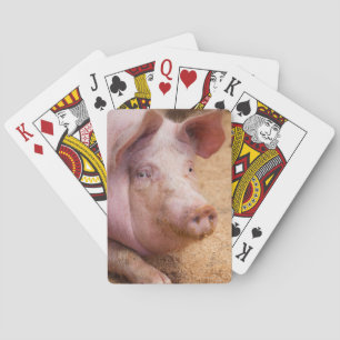 Pig Playing Cards