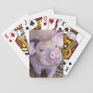 Pig Playing Cards