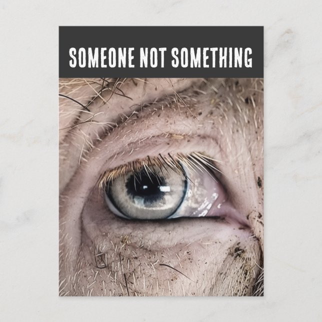 PIG Postcard, SOMEONE NOT SOMETHING Postcard (Front)