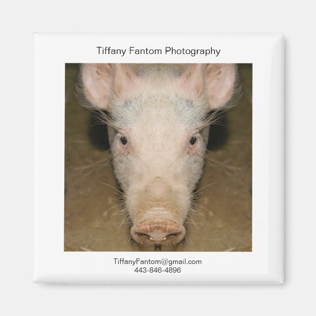 Pig Promo Piece Magnet (Front)