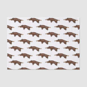 Pig roast / hog roast cartoon illustration tissue paper