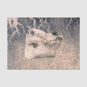 Pig Skull Grey Beige Vintage Texture Decoupage Tissue Paper
