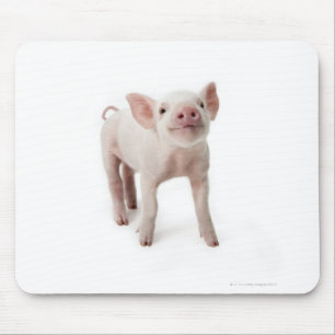 Pig Standing Looking Up Mouse Mat