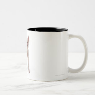 Pig Standing Looking Up Two-Tone Coffee Mug