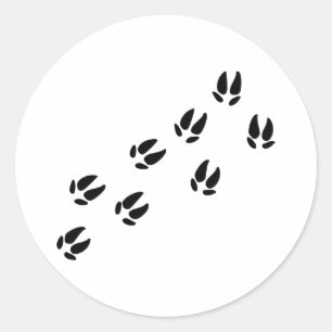 Pig - Tracks Classic Round Sticker