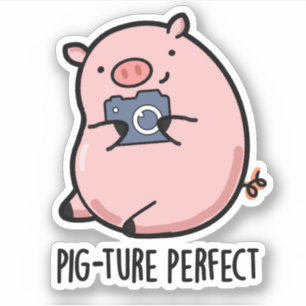 Pig-ture Perfect Funny Photography Pig Pun 