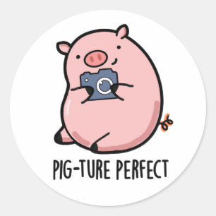 Pig-ture Perfect Funny Photography Pig Pun  Classic Round Sticker