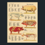 Pig Veterinary Anatomy Chart<br><div class="desc">Pig anatomy chart created with vintage anatomical illustrations. Shows the surface anatomy,  the skeletal system,  muscles,  internal organs,  arteries and veins. Chart for the farm or veterinary office.</div>