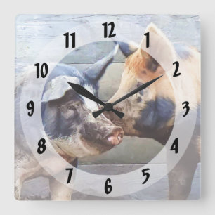 Pig Whisperer Square Wall Clock