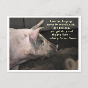 Pig Wisdom - wrestle Postcard