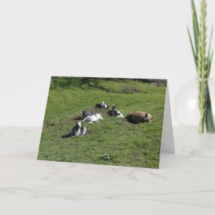 Pig with baby goat friends card