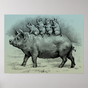 Pig with Piglets Poster