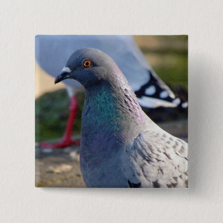 Pigeon 15 Cm Square Badge