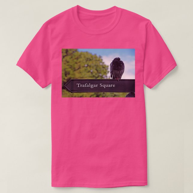 Pigeon 1 3 T-Shirt (Design Front)
