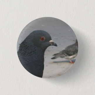 Pigeon 3 Cm Round Badge