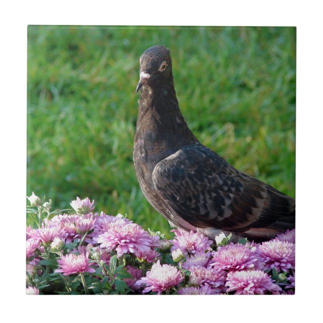 Pigeon and Mums Tile (Front)