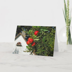 Pigeon Apples Greeting Cards