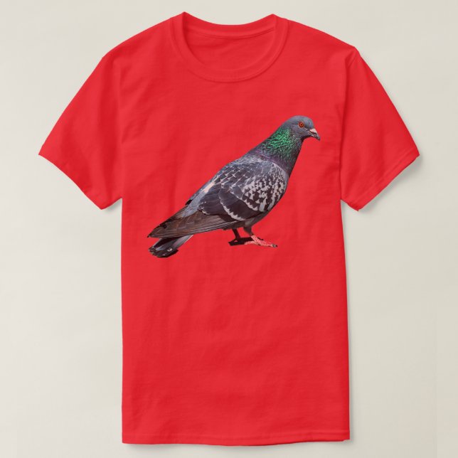 PIGEON Best HD Pigeon Bird Print Columbidae Typica T-Shirt (Design Front)