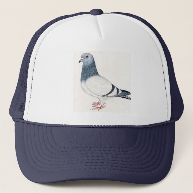 "Pigeon" Bird Art Hat (Front)
