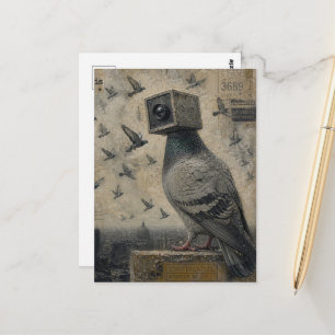 Pigeon Bird Camera Collage Postcard