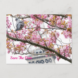 Pigeon Bird Eiffel Save The Date Tower Postcard