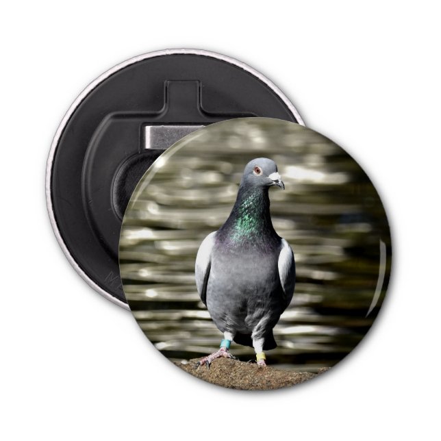Pigeon Bottle Opener (Front)
