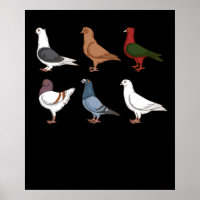 Pigeon Breeding Gift Men Pigeon Racing Pigeon