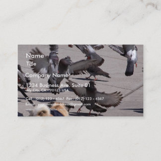 Pigeon Business Card