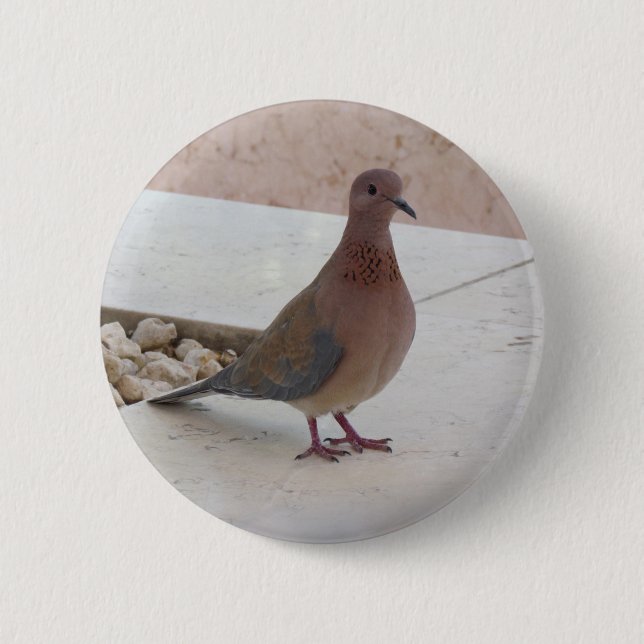 Pigeon button (Front)