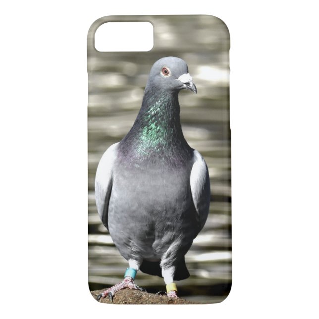 Pigeon Case-Mate iPhone Case (Back)