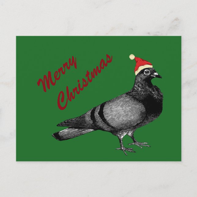 pigeon christmas holiday postcard (Front)