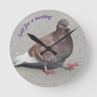 Pigeon clock
