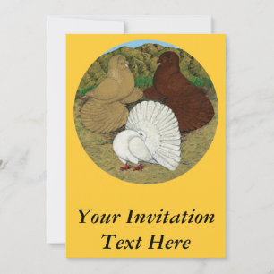 Pigeon Combo Invitation