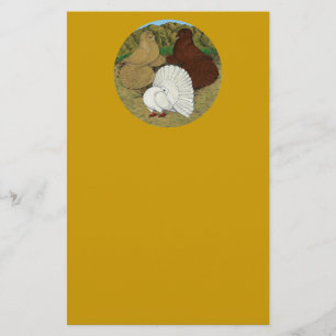 Pigeon Combo Stationery