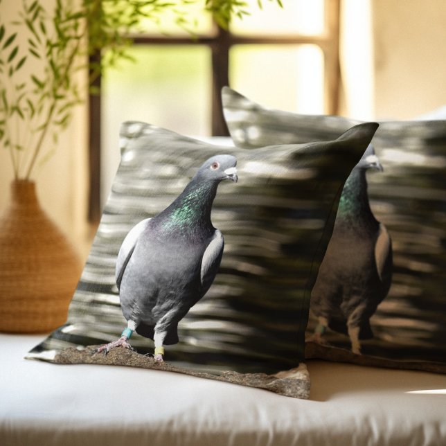 Pigeon Cushion (Creator Uploaded)