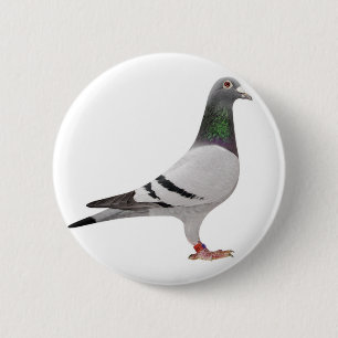 pigeon design 6 cm round badge