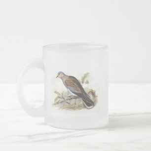 Pigeon Dove Streptopelia Painting Nature Birds Art Frosted Glass Coffee Mug