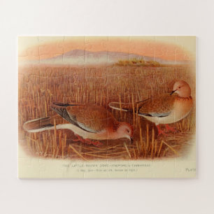 Pigeon Dove Streptopelia Painting Nature Birds Art Jigsaw Puzzle