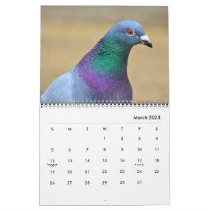 Pigeon Doves Bird Watchers Photography 2025 Calendar