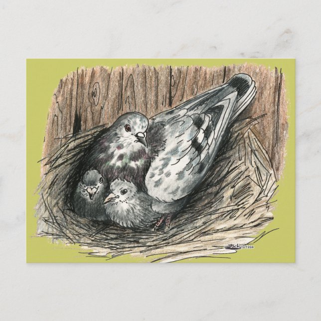 Pigeon Family Postcard (Front)