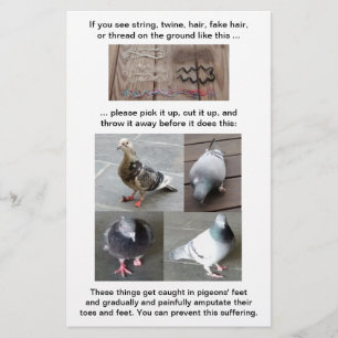 Pigeon Foot Injury Rescue Customisable Vertical Flyer