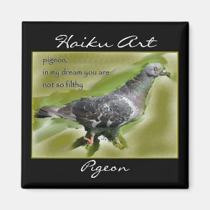 Pigeon Haiku Art Magnet