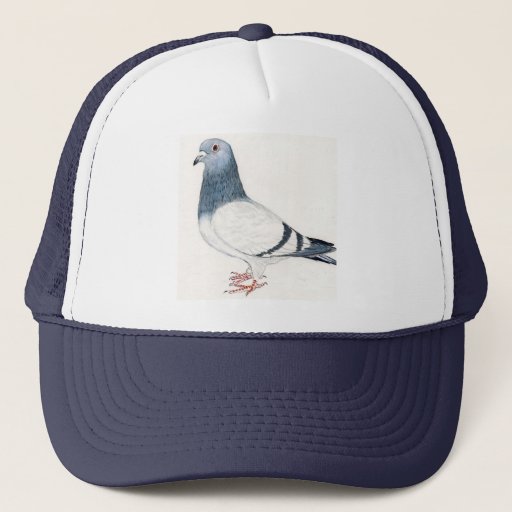 Image of Pigeon Hat