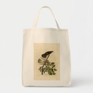 Pigeon Hawk (Merlin) - Audubon's Birds of America Tote Bag