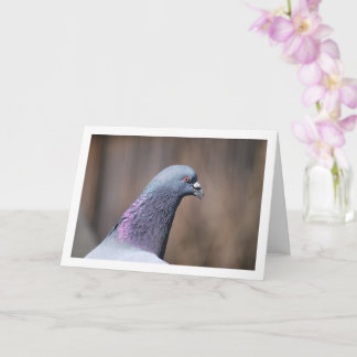 Pigeon Head Portrait Card