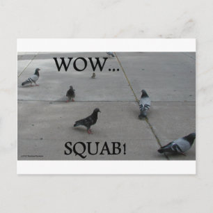 PIGEON HUMOR POSTCARD