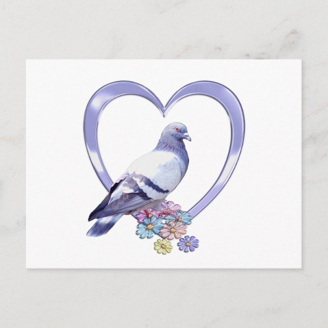 Pigeon in Heart Postcard (Front)