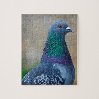Pigeon Jigsaw Puzzle