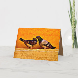 Pigeon Lovers Card