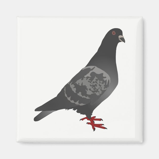 Pigeon Magnet (Front)